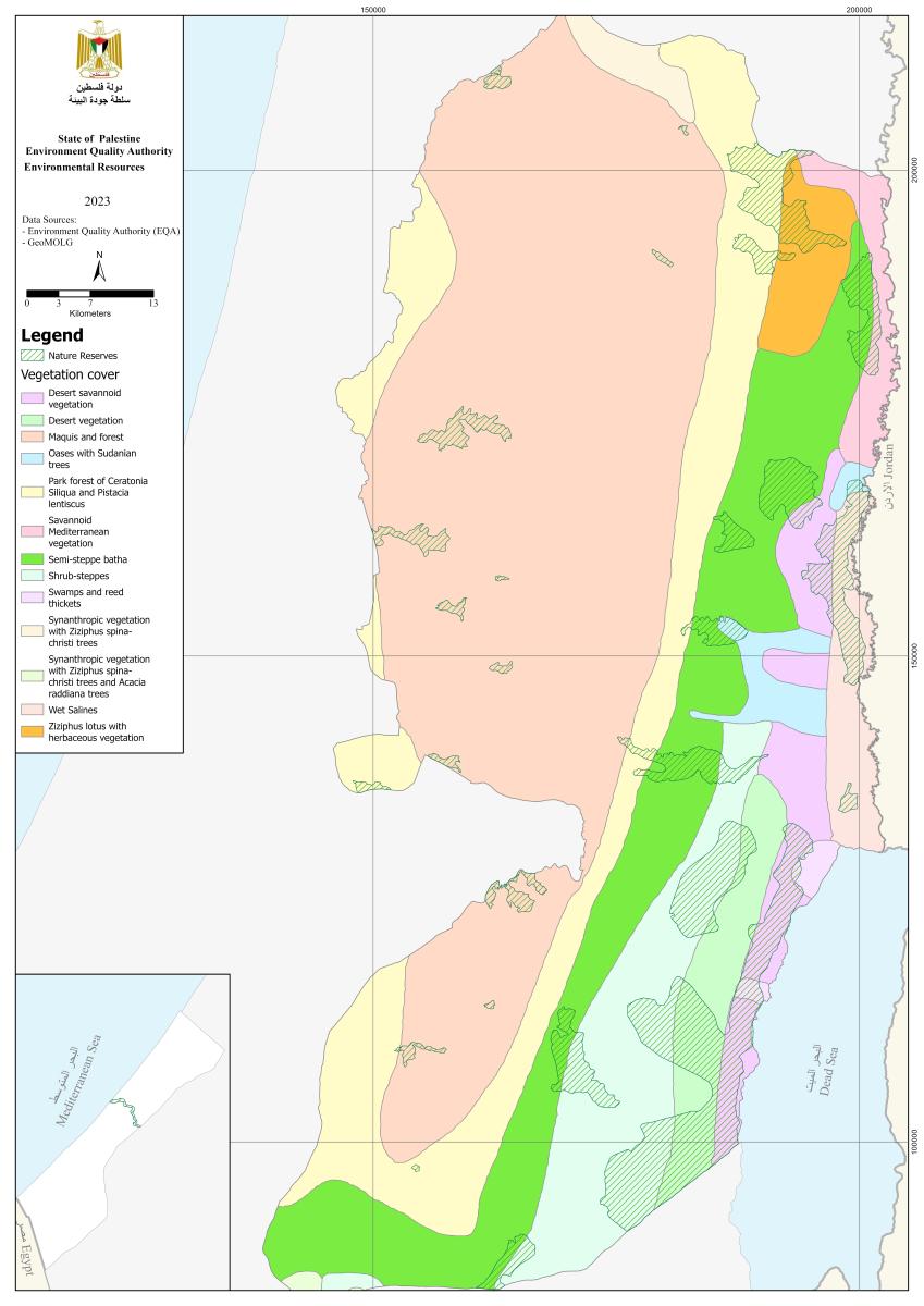 Vegetation Cover 